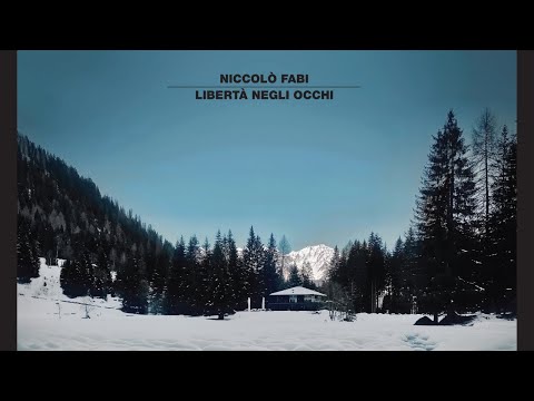 Niccolò Fabi - Chi mi conosce meglio di te con Roberto Angelini (Official Audio)