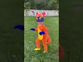 Swiper Dora The Explorer Costume