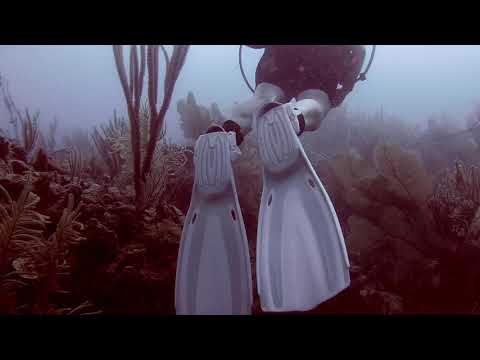 Trenches | Farjardo, PR | 4-11-2019