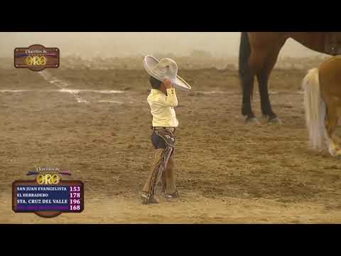 Gabriel Paz Miranda...Campeon pial en el ruedo Dientes de Leche