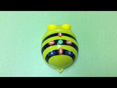 Introduction to BeeBot