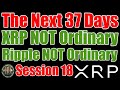 Ripple Real USD , XRP Bridge & The Next 37 Days Could 🤯Blow Your Mind🤯