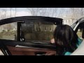 DREAMBABY Aletta parasole per il finestrino dell'auto