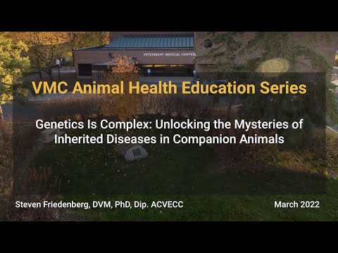 Genetics Is Complex: Unlocking the Mysteries of Inherited Diseases in Companion Animals