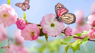 NAT KING COLE      NOTHING EVER CHANGES MY LOVE FOR YOU