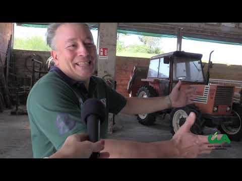 Giorgio Facchino: la Razza Piemontese di qualità!