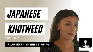 Japanese Knotweed & Mortgages - HELP