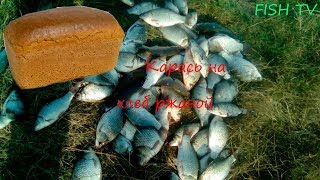 Рыбалка на карася в самарской области