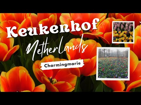 World Famous Spring Garden, Keukenhof