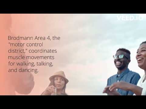 Brodmann areas part 2 #neuroscience #neurology #physiology #medical #nervoussystem #medicalstudent