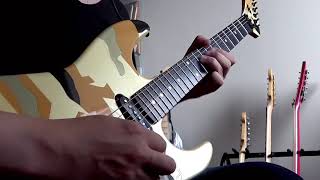 White Lion - Don’t Give Up Solo