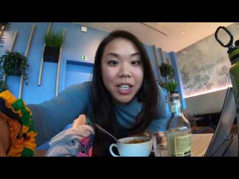 Aeroporto de Bruxelas - escala no Diamond Lounge || Vlog