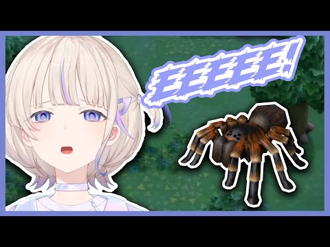Hajime versus Tarantulas!!! (In Animal Crossing) [Todoroki Hajime]