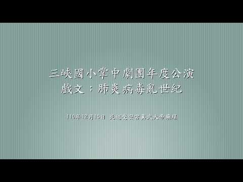 肺炎病毒亂世紀