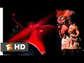 Björk: Biophilia Live (2014) - Hidden Place Scene (5/10) | Movieclips
