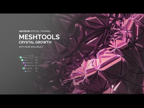 MeshTools Tutorial - Crystal Growth