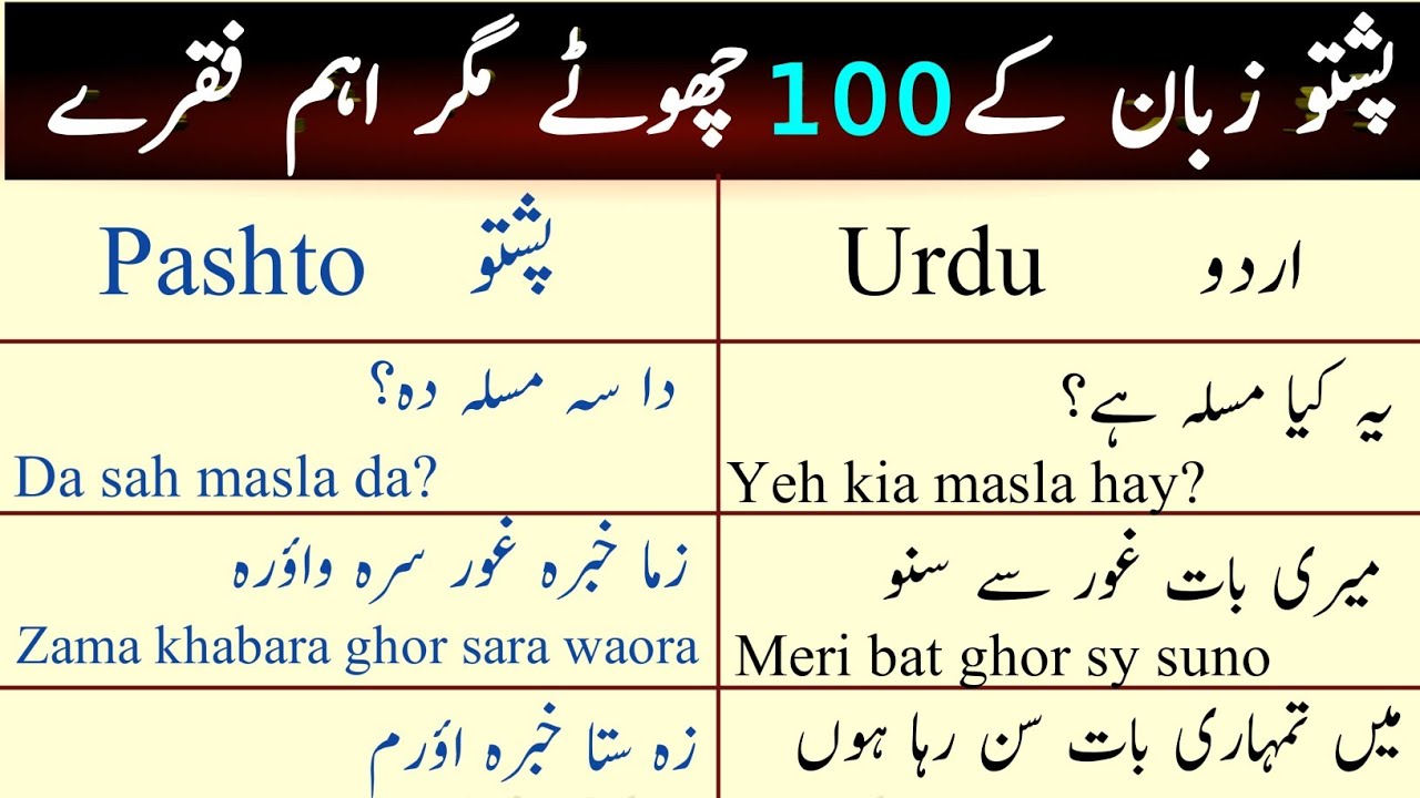 Lesson 2 Basic Pashto Phrases For Beginners | Daily Routine Sentences in Pashto | Basic PASHTO URDU
