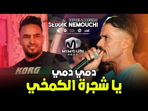 الشيخ الصديق النموشي يا شجرة الكمخي دمي دمي chikh seddik nemouchi ft faycel lmaestro 2024
