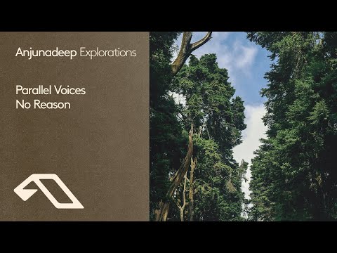 Parallel Voices - No Reason