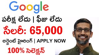 Google Recruitment 2024 | Google Vacancy 2024 | Salary-70,000 | Work From Home Jobs In Telugu |