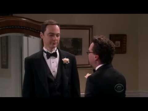 The Big Bang Theory 11x24 Finale - "I will always be your problem Leonard"