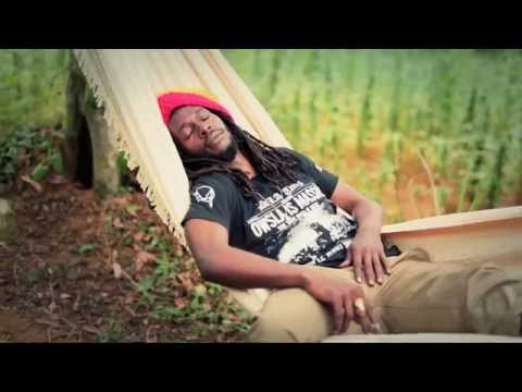 Gimmie Likkle / Finally - Jesse Royal (Official Music Video)