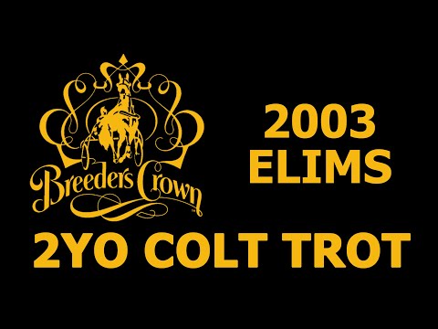 2003 Breeders Crown Elims - Cantab Hall - 2CT