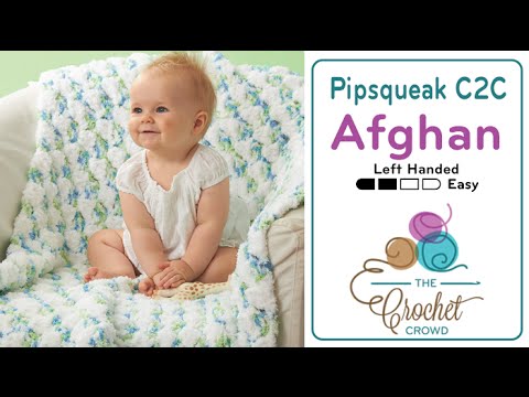 Left Hand Crochet for Beginners Baby Blanket Pattern The Crochet Crowd