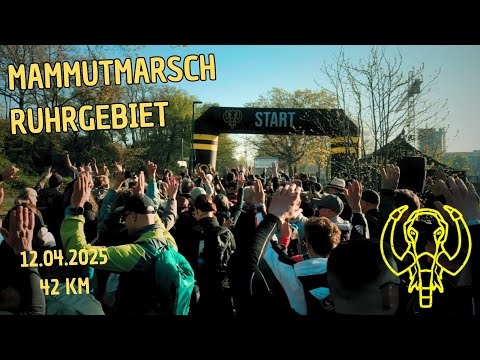 MAMMUTMARSCH RUHRGEBIET 2025 // 42 KM // ES WIRD HEIß! 🥵 ☀️