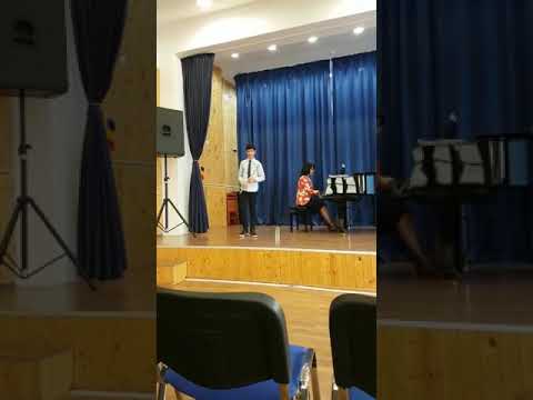 Elegie Rămână de Petre Elinescu:Flaut