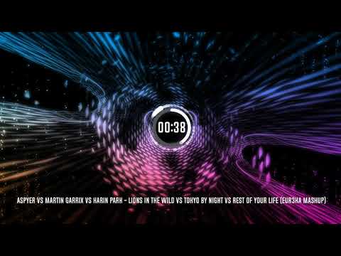 Martin Garrix/Aspyer/Karin Park - Lions In The Wild/Tokyo By Night/Rest of Your Life (Eur3ka Mashup)