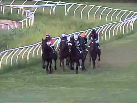 Galoppo 19/07/2014 - Corsa 1