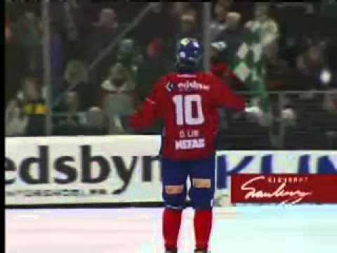 SM-final bandy 2004: Signerat Svanberg