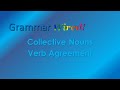 8.6 Collective Nouns Verb Agreement