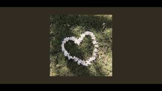 Cover art for boys will be bugs sped up