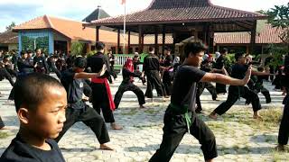 Download lagu LATIHAN GABUNGAN TEKNIK BELADIRI SILAT SATRIA SETA WS PAMUNGKAS mp3
