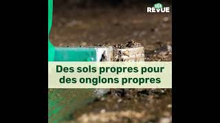 Des sols propres pour des onglons propres