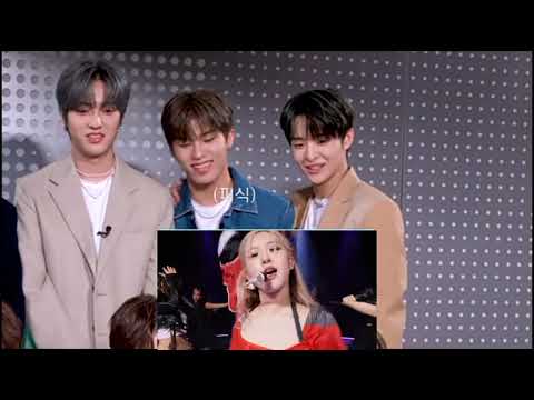TREASURE reaction to BLACKPINK - "PINK VENOM" Perfomence