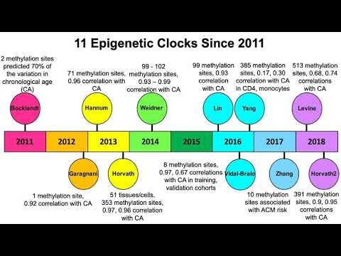 Epigenetic Clocks: Which Has The Best Correlation For Aging and Age-Related Diseases?