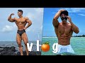 ✈️ 고독뿐인 2박 3일 제주도 여행 브이로그🍊 | 감성 & 허세주의