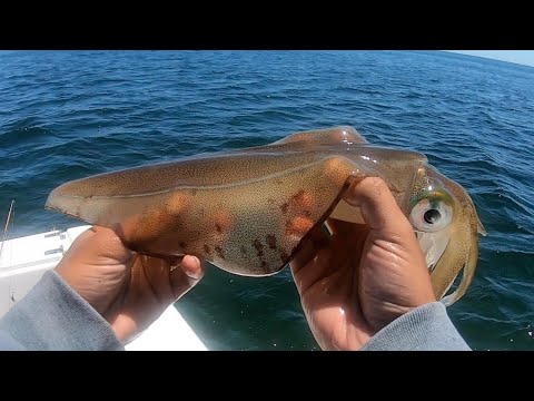 Exploring Yorke Peninsula's Best Fishing Spots: A Boat Fishing Adventure! Part 1/2