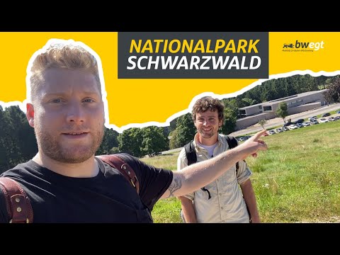 Ausflug in die Wildnis: Kevin im Nationalpark Schwarzwald