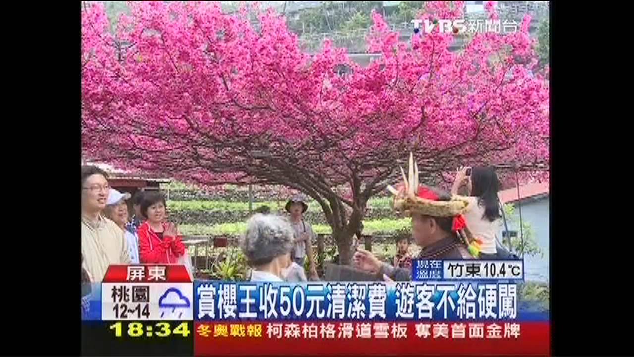 賞櫻王收50元清潔費 遊客不給硬闖