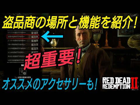 園芸 白い縞模様のダッチパイプ、ウマノスズクサ