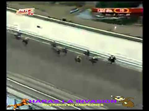 LA RINCONADA 10 CARRERA DOMINGO 01 DE FEBRERO DEL 2015