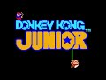 Stage 4 Chains Donkey Kong Jr Arcade