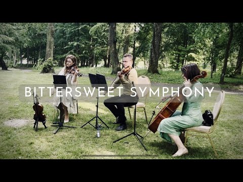 Bittersweet Symphony - String Quartet / OffandBach kwartet smyczkowy / trio smyczkowe
