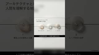 AIが恐れるモデル崩壊と人間の錨 #chatgpt #仕事効率化 #ai活用