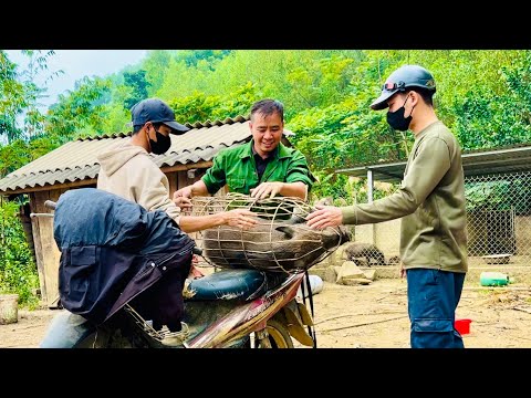 sold the wild boar and started building a new kitchen .Free sky