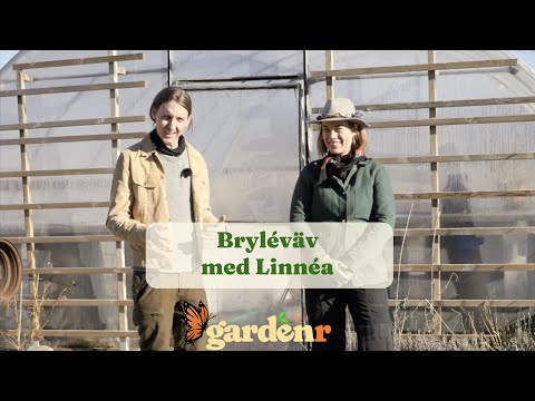 Bryléväv med Linnea - Trädgårdshacks med GardenR